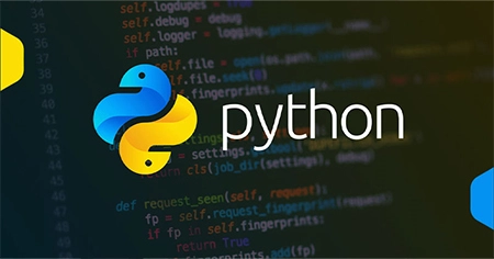 python-can-help-technical-seo