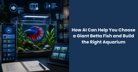 ai-choose-giant-betta-fish-build-aquarium
