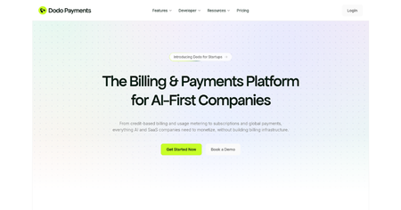 Dodo Payments
