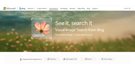 Bing Visual Search
