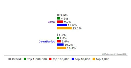 usage-of-both-language-in-website-development