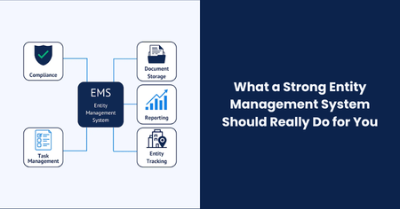 what-strong-entity-management-system-should-do-for-business



